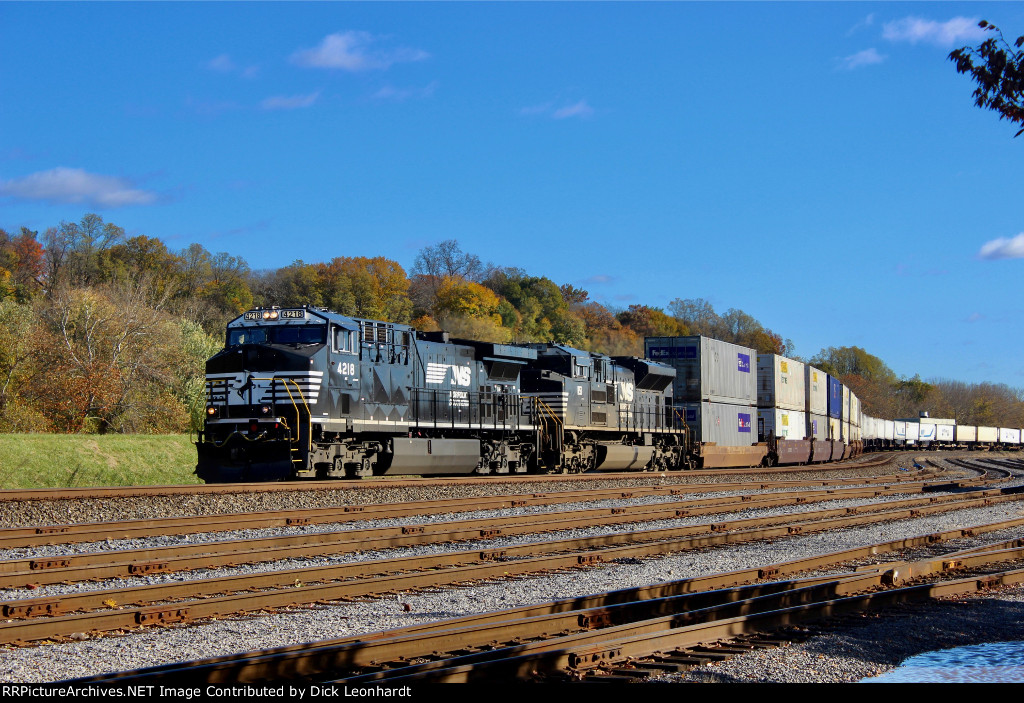 NS 4218 and 1151